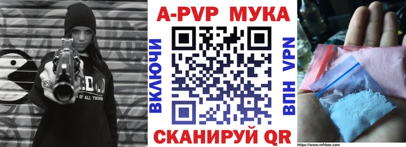 omg ссылки  Медынь  Альфа ПВП СК КРИС 