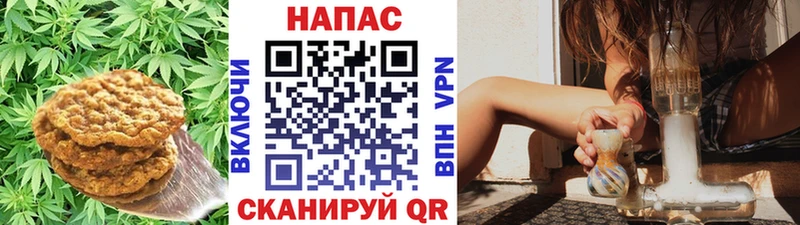 мега как зайти  хочу   Медынь  Еда ТГК марихуана 