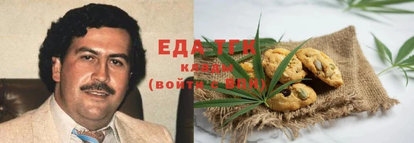индика Алексин