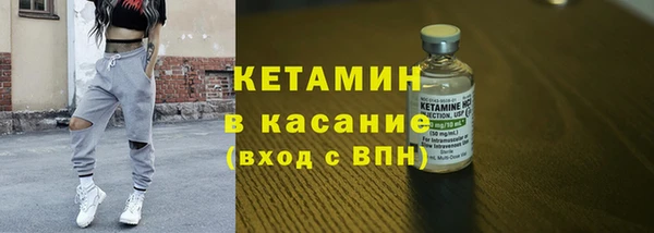 индика Алексин