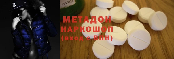 прущие грибы Алзамай