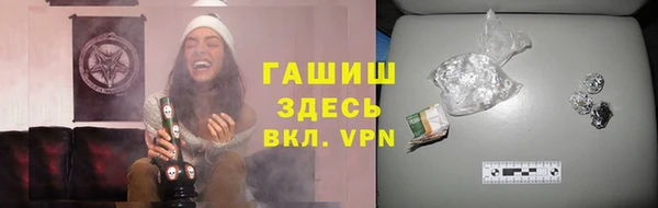 прущие грибы Алзамай