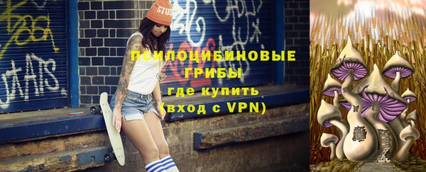 индика Алексин