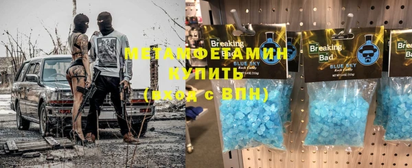 индика Алексин