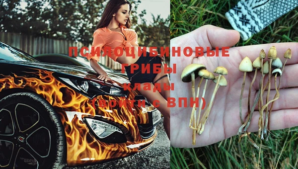 индика Алексин