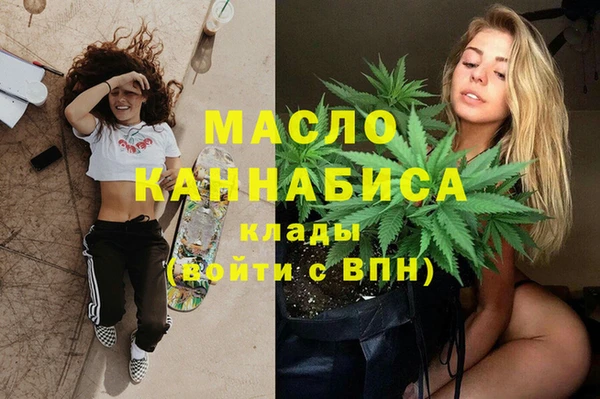 индика Алексин