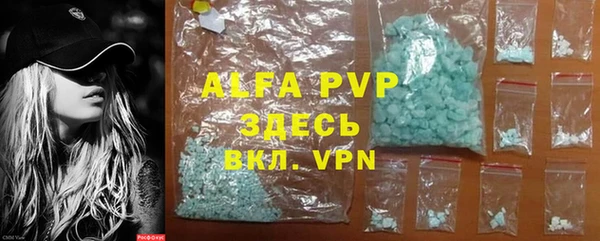 индика Алексин