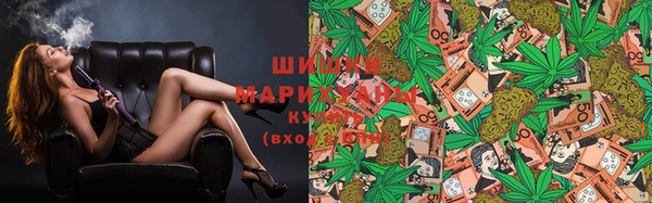 прущие грибы Алзамай