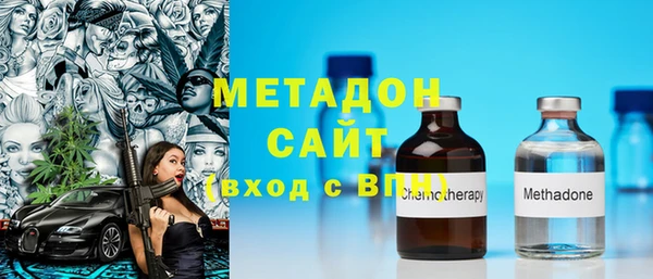 индика Алексин