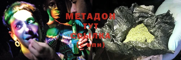 прущие грибы Алзамай