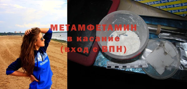 индика Алексин