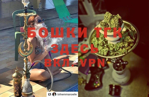 индика Алексин